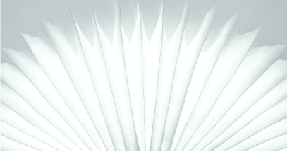 Academia de Guvernanță. Aderarea la OCDE: Cum Reformează România Guvernanța pentru a Stimula Investițiile și Inovația